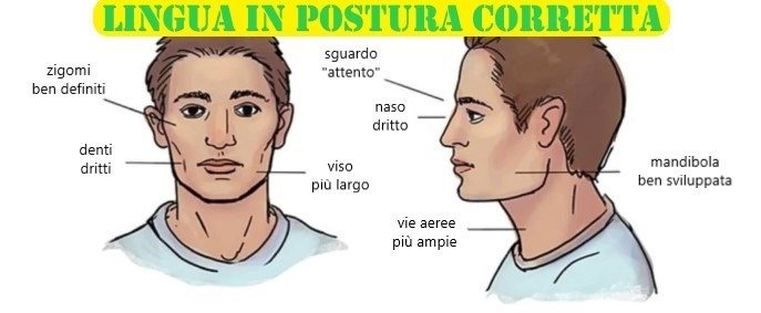 benefici postura corretta lingua