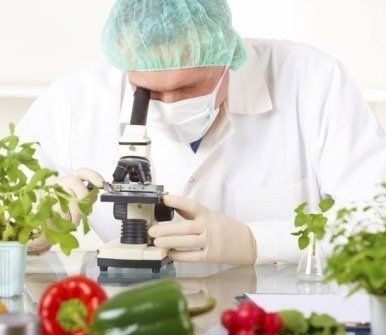 le-analisi-sugli-alimenti per armonia nutrizionale